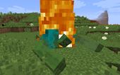 Minecraft images