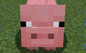 Minecraft images