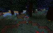 Minecraft images
