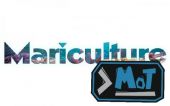 Minecraft images