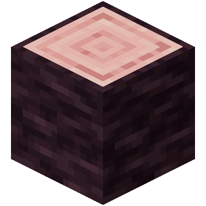 Minecraft（）服务器