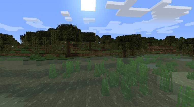 What is Minecraft swamp?