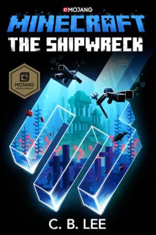 Minecraft: Minecraft: The Shipwreck novel