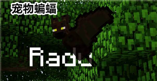 How to tame the minecraft bat