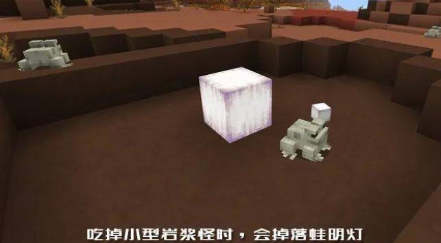 How to get minecraft frog lounge