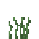 Minecraft双草丛