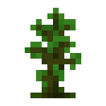 Minecraft丛林木树苗