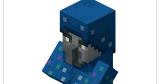 Minecraft illusionist