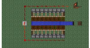 How to brush carrot potato wheat minecraft brush carrot potato wheat tutorial explanation