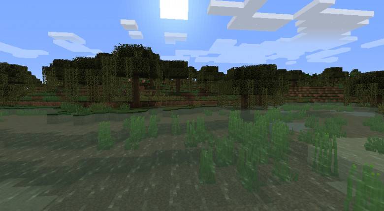 What is the use of Minecraft Swamp?