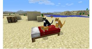 Minecraft cat