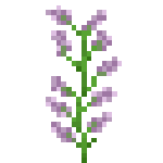 Minecraft欧丁香