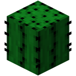 Minecraft仙人掌