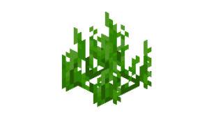 How to brush the seagrass minecraft seagrass planting tutorial