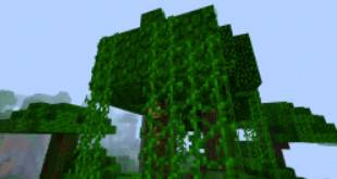 How to brush the vine Minecraft vine planting tutorial
