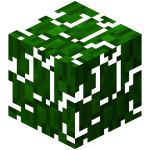 Minecraft丛林树叶