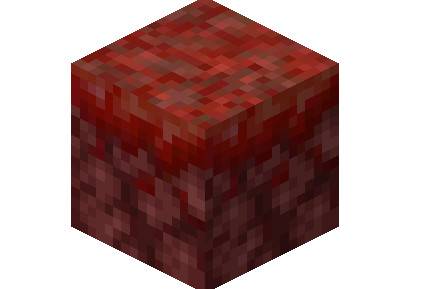 What is Minecraft bacteria?