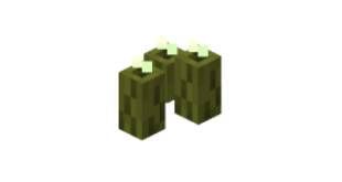 How to brush the sea kimchi MINECRAFT Sea Publisa Planting Tutorial