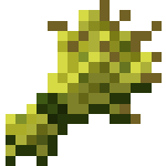 Minecraft wheat, what should I do if there is wheat?