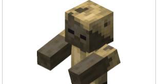 Minecraft corpse shell