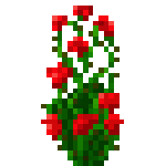 Minecraft玫瑰丛