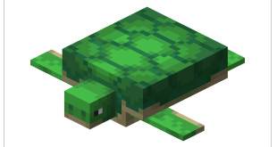 Minecraft turtle turtle