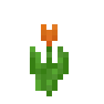 Minecraft橙色郁金香