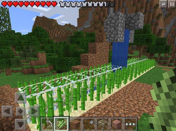 How to brush sugarcane Minecraft sugarcane planting tutorial