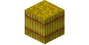 Minecraft dry grass