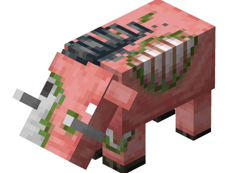 What is Minecraft wart warts and beasts?