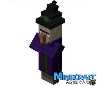 What is the witch training service of Minecraft Witch?