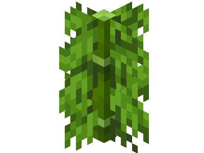 What is the use of minecraft bamboo?