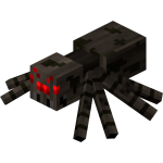 What is the spider?