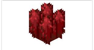 Minecraft lower boundary warts