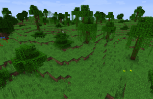 Jungle Edge.png