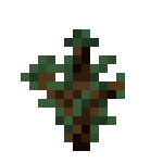 Minecraft云杉木树苗