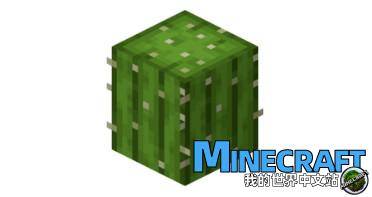 Minecraft cactus