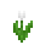Minecraft白色郁金香