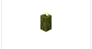 Minecraft sea kimchi