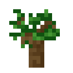 Minecraft深色橡木树苗