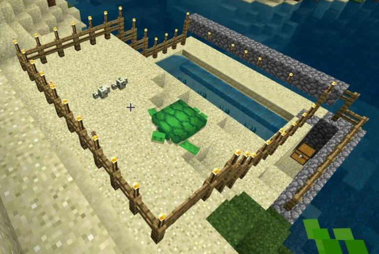 How to brush the sea turtle shell Minecraft turtle trap production tutorial
