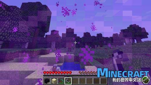 Minecraft5 Minecraft5