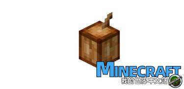 Minecraft cocoa fruit