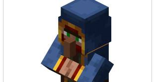 Minecraft stray merchant