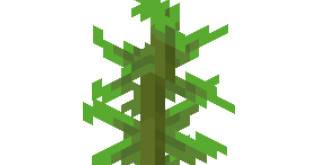 How to brush the kelp mineCraft kelp planting tutorial