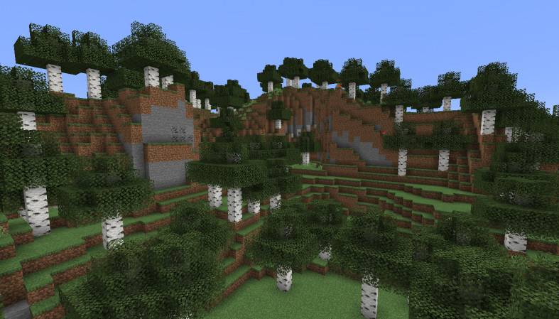 What is the use of Minecraft Birch Forest?