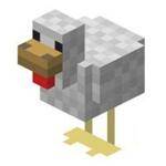 Minecraft chicken