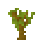 Minecraft金合欢木树苗
