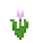 Minecraft粉红色郁金香