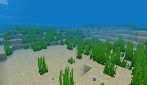 Deep Warm Ocean.png